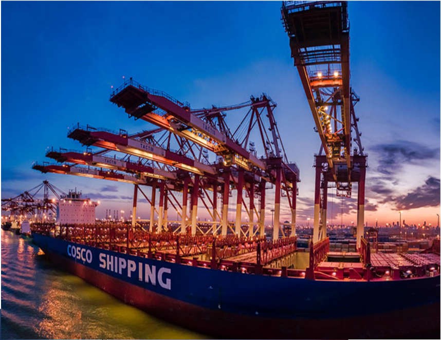 Shipping cranes at a container port